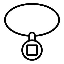 Pendants and Wander Transmitters