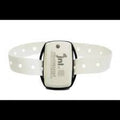 1 YR Ankle Wander Transmitter - 2 Straps Included