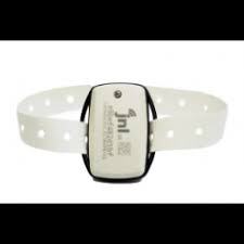 1 YR Ankle Wander Transmitter - 2 Straps Included